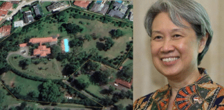 Satellite image of 26 Ridout Road after Minster K Shanmugam moved in and Ho Ching.